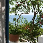 Flora's