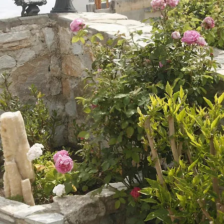 Flora's Apartmán