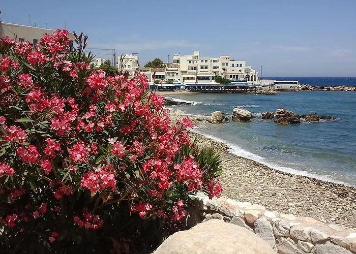 Flora's Apollon (Naxos)