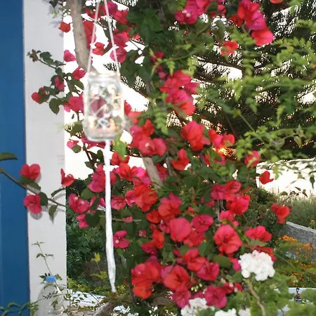 Flora's شقة *