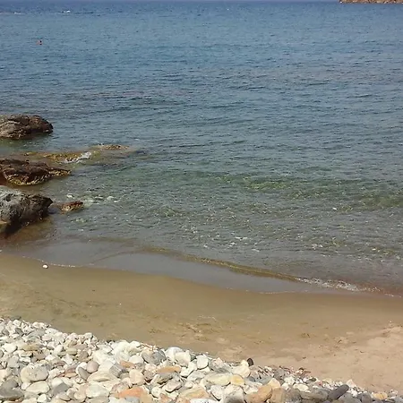 Flora's * Apollon (Naxos)